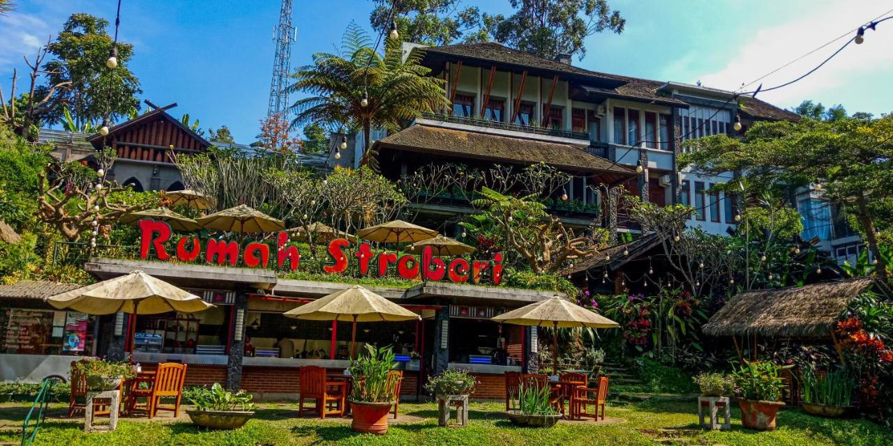 Rumah Stroberi Organic Farm & Family Lodge Lembang Eksteriør bilde