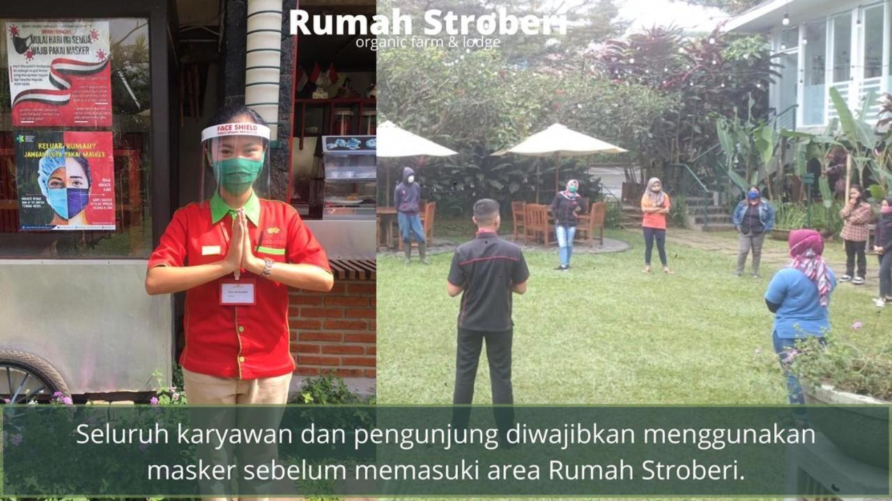 Rumah Stroberi Organic Farm & Family Lodge Lembang Eksteriør bilde